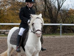 IMG_0344-122_web
